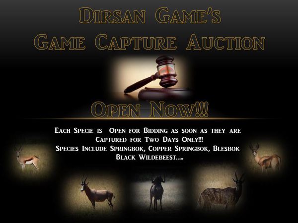 Dirsan Game's Capture Auction