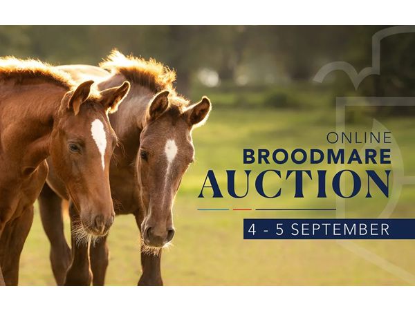 Capital Stud Broodmare Auction September 2026
