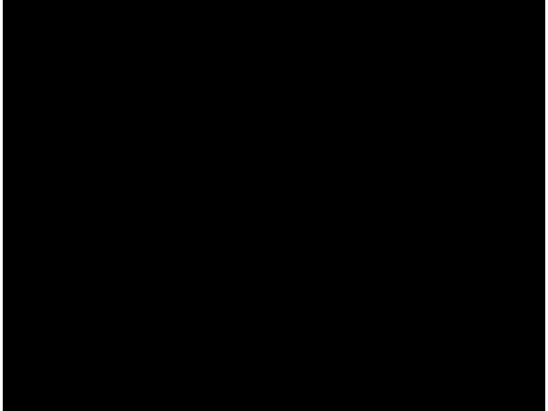 ~/upload/Lots/154700/AdditionalPhotos/bwydrpxm32dxk/20250821_114918_t600x450.jpg