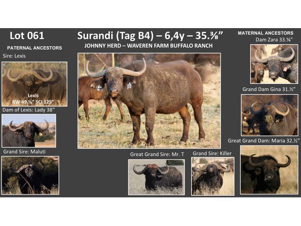 ~/upload/Lots/154867/AdditionalPhotos/nhic2vijne374/Slide82_t600x450.jpg