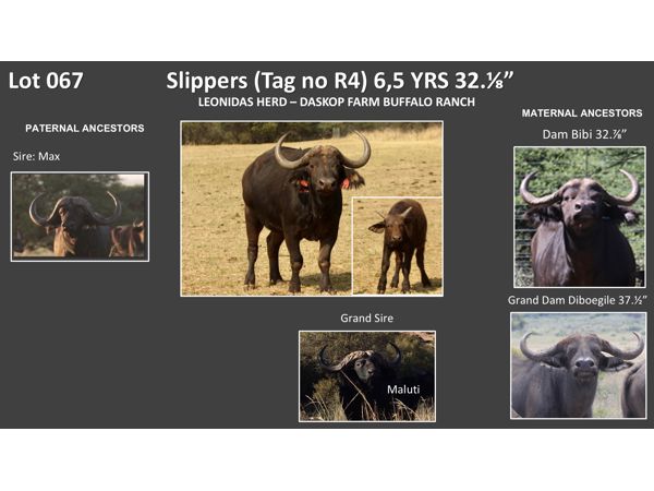 ~/upload/Lots/154964/AdditionalPhotos/xt5slovoxjyqw/Slide94_t600x450.jpg