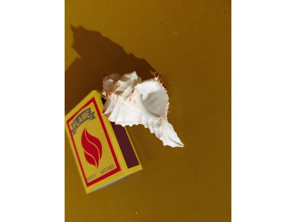 ~/upload/Lots/167796/AdditionalPhotos/2m5vaxxemtk7e/20260720_084903_t600x450.jpg